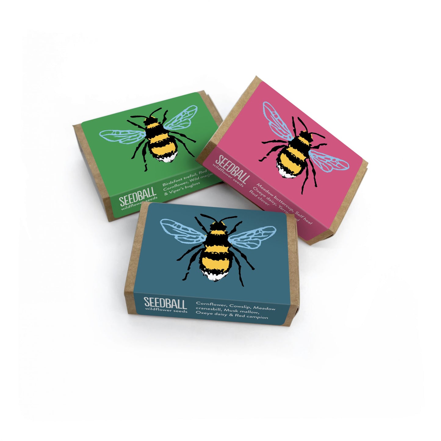 Bee Seedball Box